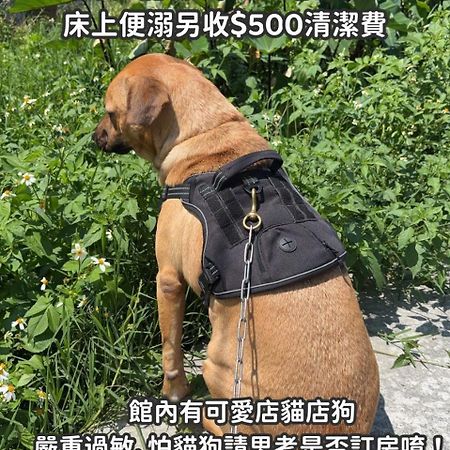 缽割貓點點 青旅 Diandian Hostel Puli Eksteriør billede