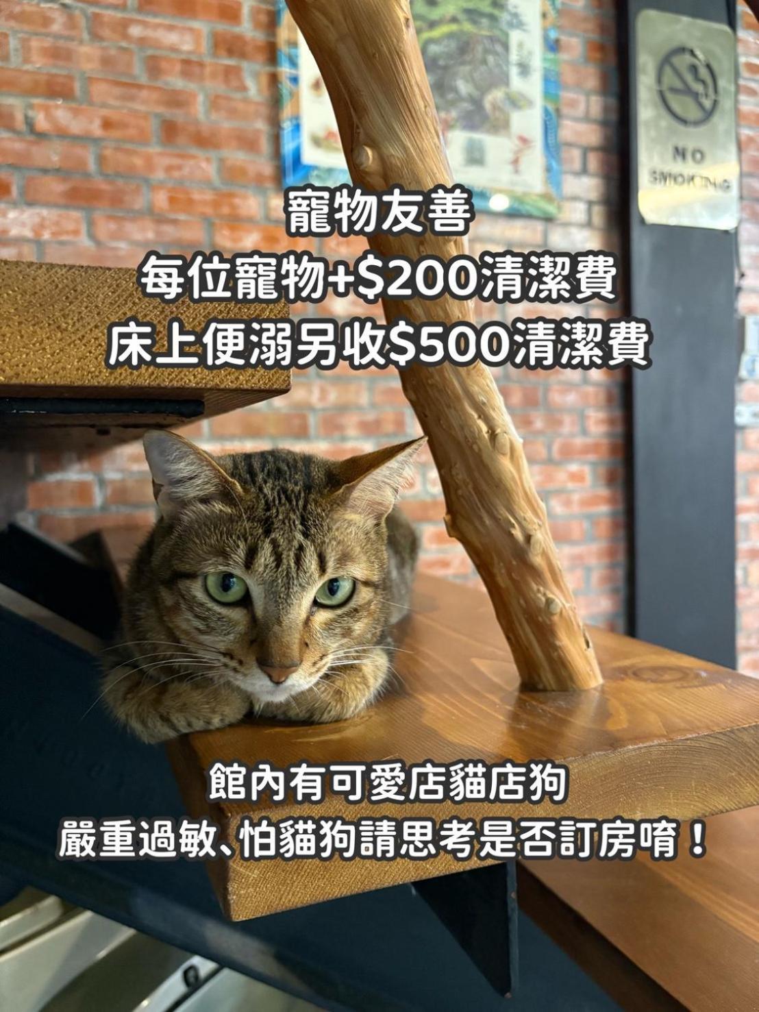 缽割貓點點 青旅 Diandian Hostel Puli Eksteriør billede